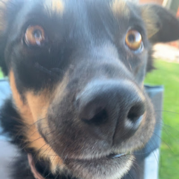 rubyoliver293